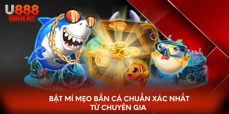 Bật mí mẹo bắn cá chuẩn xác nhất từ chuyên gia 