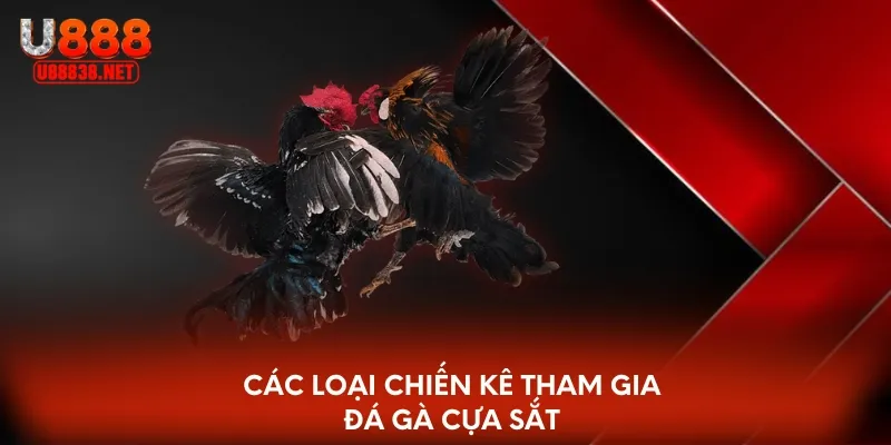 Đôi nét về đá gà cựa sắt