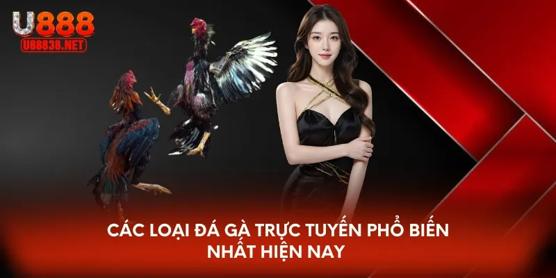 Các loại đá gà trực tuyến phổ biến nhất hiện nay 