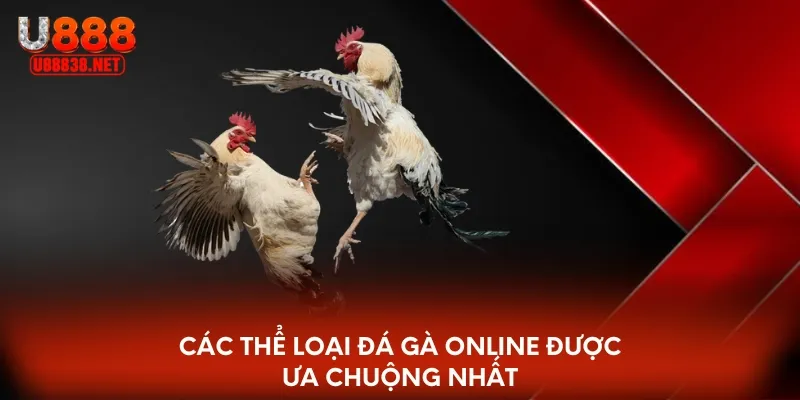 Các thể loại cá cược đá gà online được ưa chuộng nhất