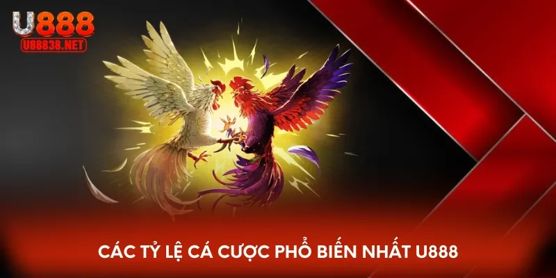 Các tỷ lệ cá cược phổ biến nhất U888
