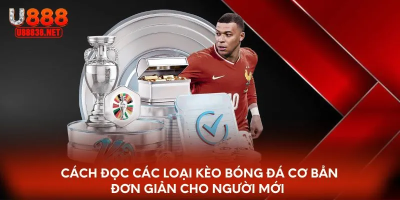 Cách đọc các loại kèo bóng đá cơ bản cho người mới 