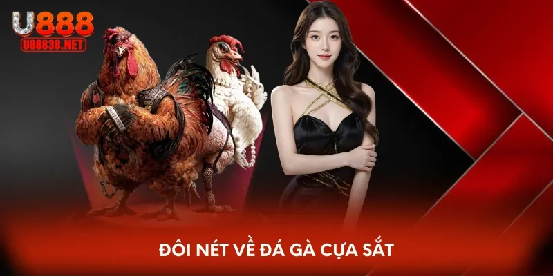 Đôi nét về đá gà cựa sắt