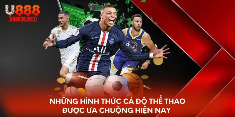 Những hình thức cá độ thể thao được ưa chuộng hiện nay 