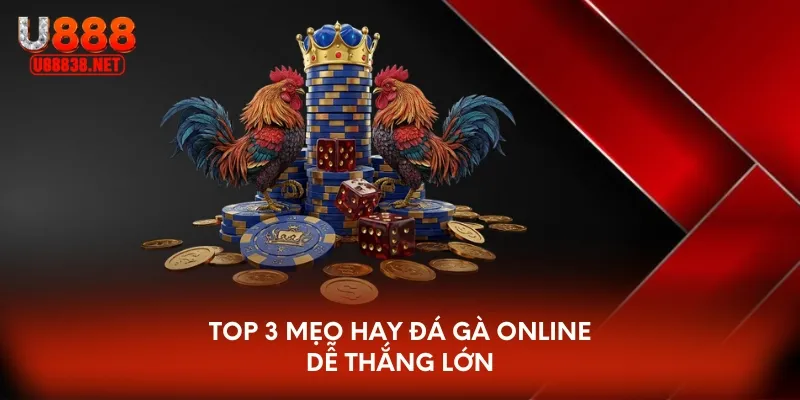 Top 3 mẹo bắt kèo đá gà online dễ thắng lớn